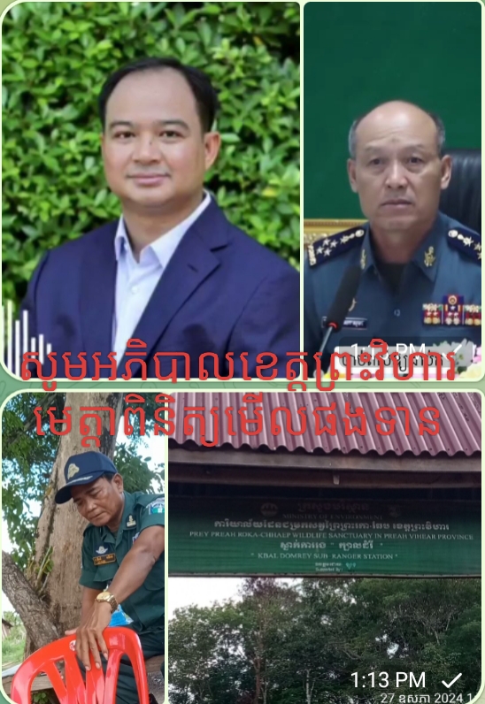 ការកាប់បំផ្លាញព្រៃឈើនៅដែនជម្រកសត្វព្រៃ ព្រះរកា-ឆែប ខេត្តខេត្តព្រះវិហារ